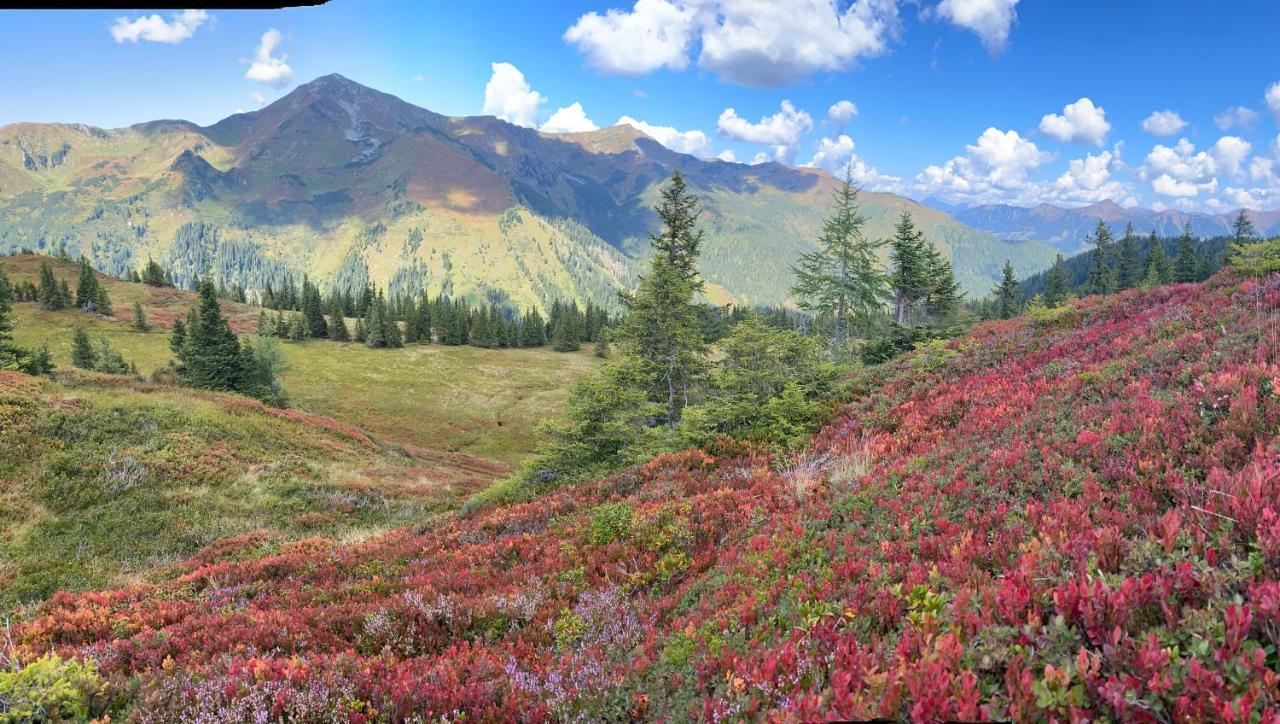 Alpengasthof Grobbauer Rottenmann Exteriör bild
