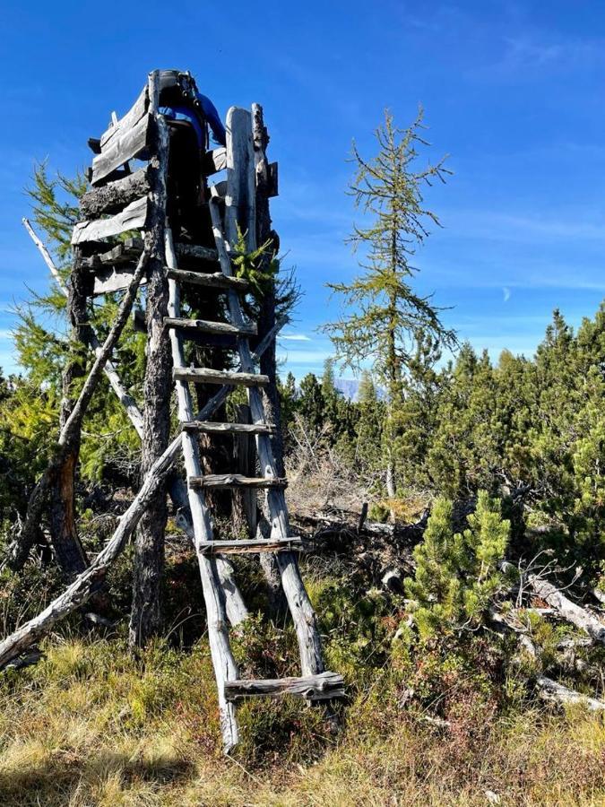 Alpengasthof Grobbauer Rottenmann Exteriör bild