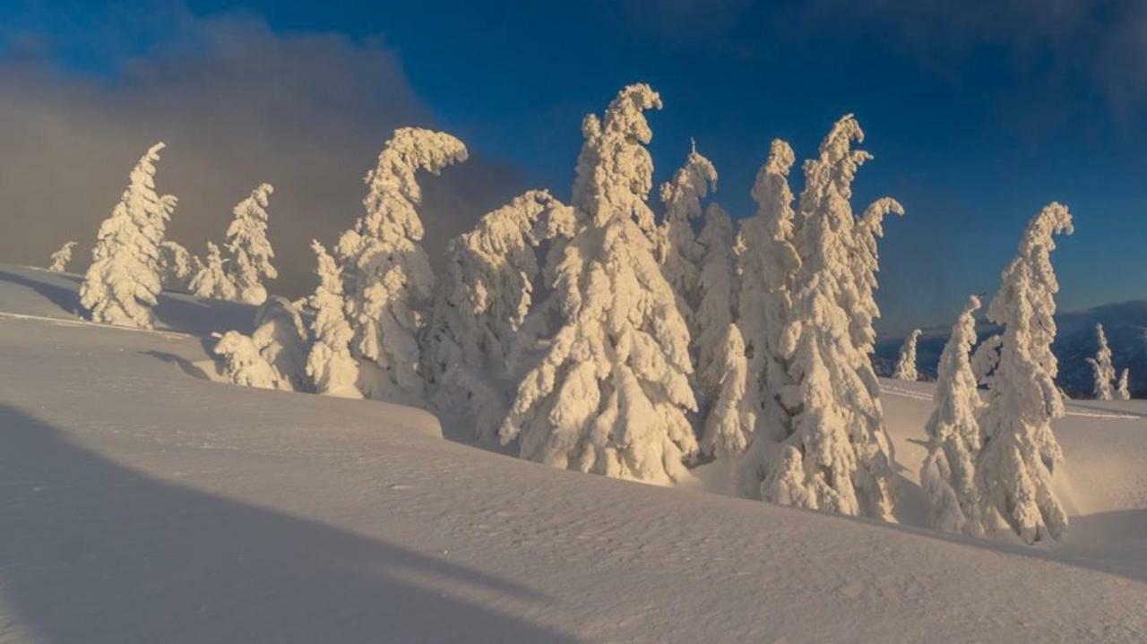 Alpengasthof Grobbauer Rottenmann Exteriör bild